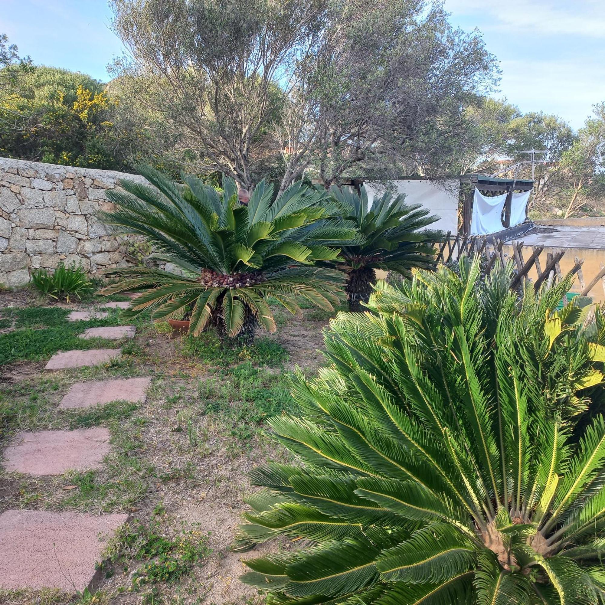 Villa Graziella La Maddalena  Extérieur photo