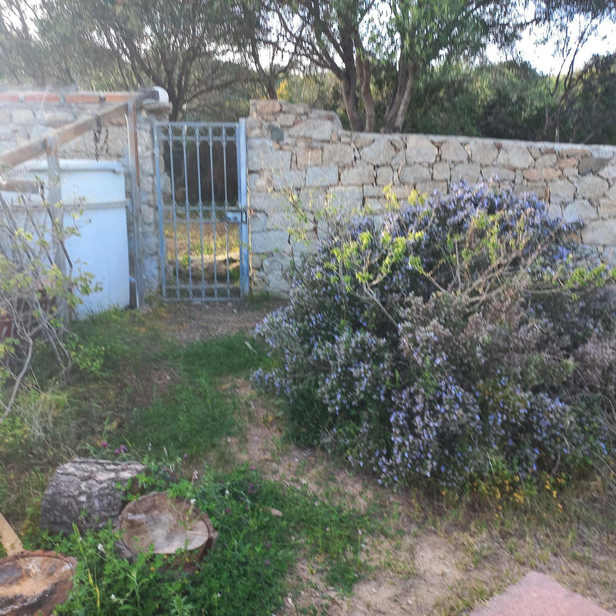 Villa Graziella La Maddalena  Extérieur photo
