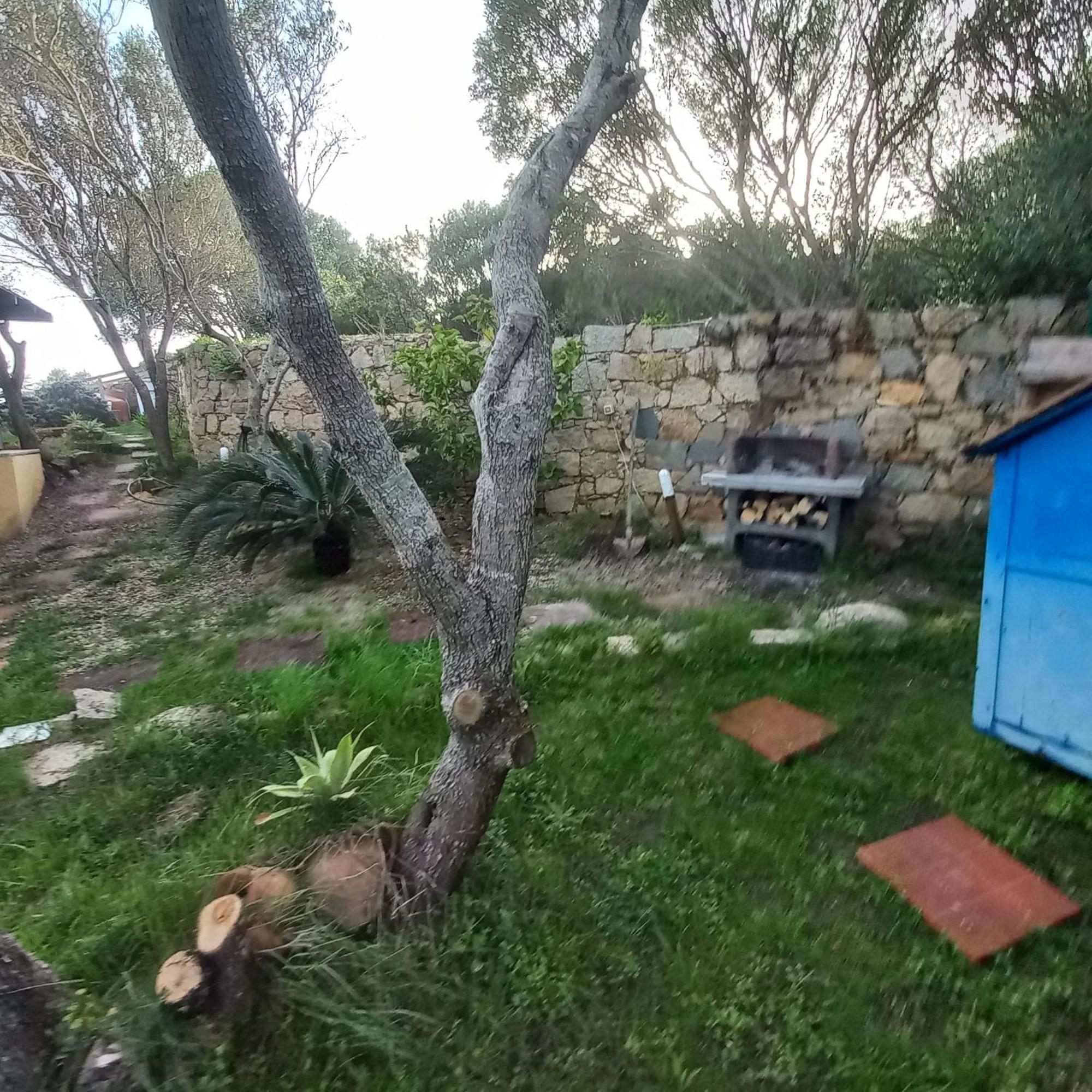 Villa Graziella La Maddalena  Extérieur photo